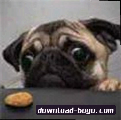 孙鹏
