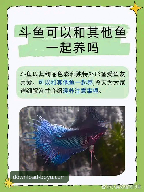 为什么说博鱼最新版本是体育与电竞爱好者的必备之选？